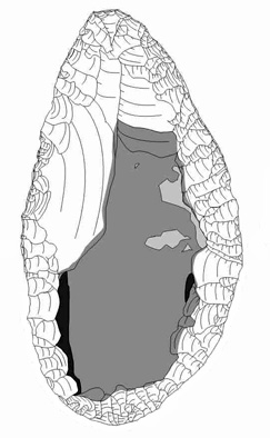 Silex (dessin V. Georges)